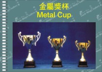 Metal trophy