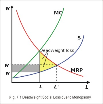 social loss of monopsony social loss of monopsony