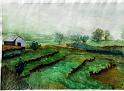 DSCF1668