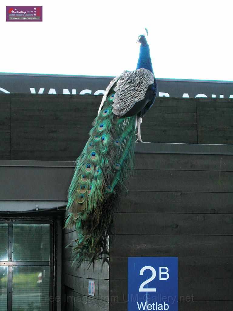 DSCN0643.JPG
