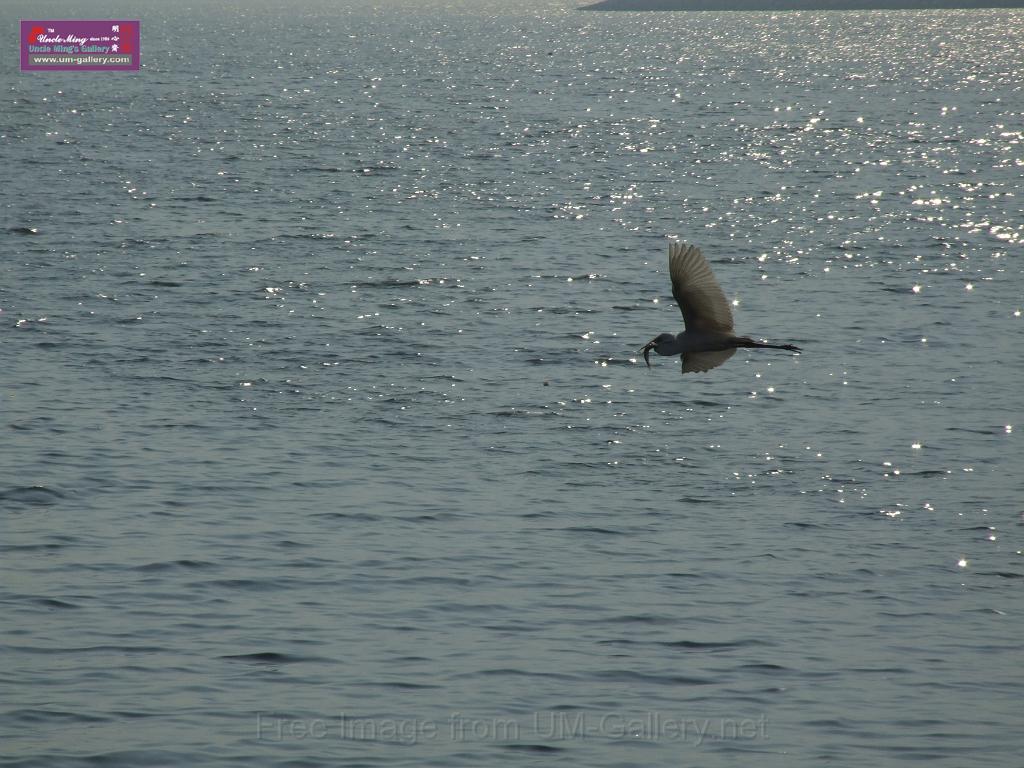 DSCF0048.JPG