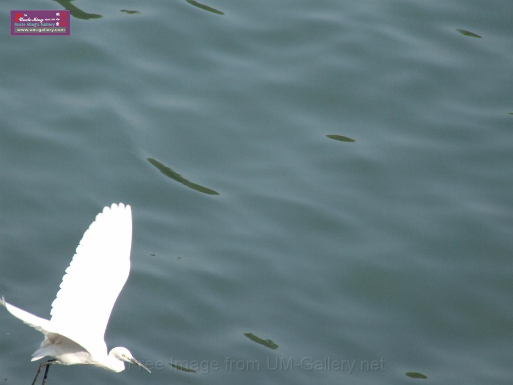 DSCF0061.JPG