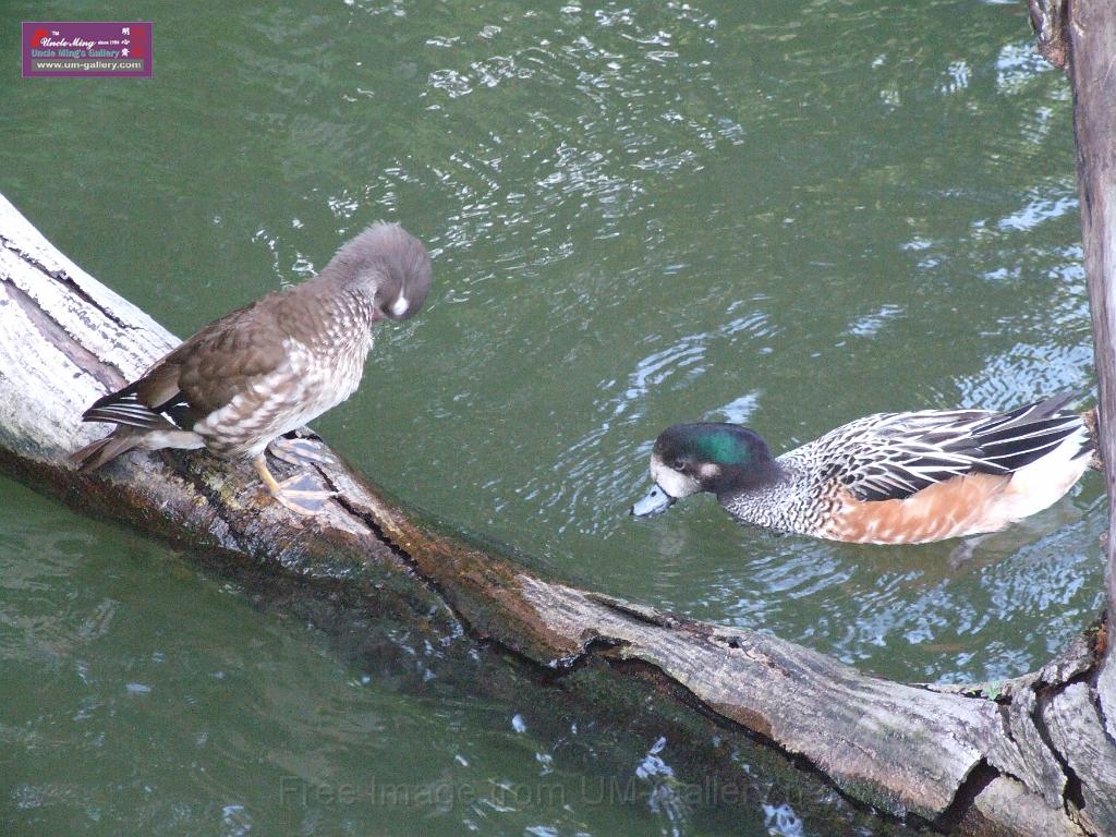 DSCF8838.JPG