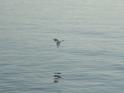0611_DSCF0029