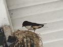 070506a_DSCF0016_sm