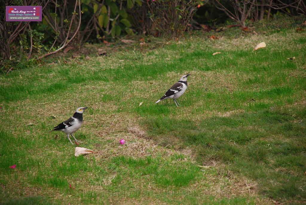 DSC_0505.JPG