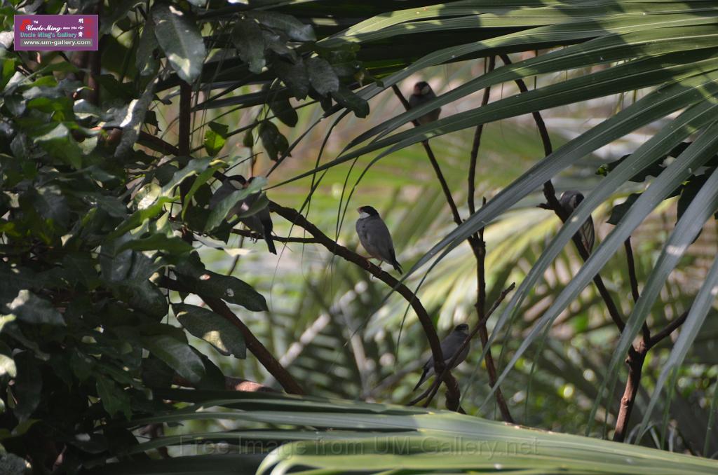20150426jw-hk-park_DSC_0435.JPG