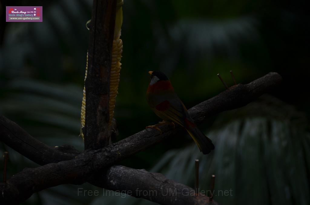 20150426jw-hk-park_DSC_0554.JPG