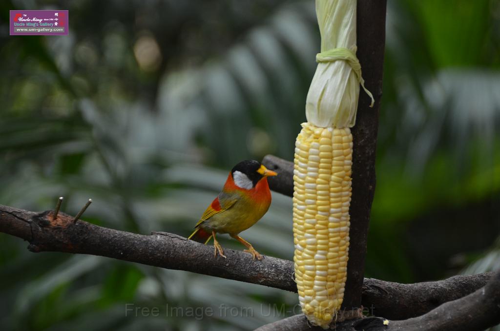 20150426jw-hk-park_DSC_0556.JPG