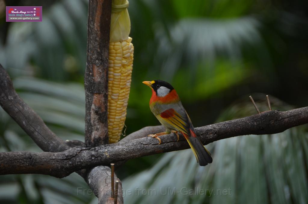 20150426jw-hk-park_DSC_0561.JPG