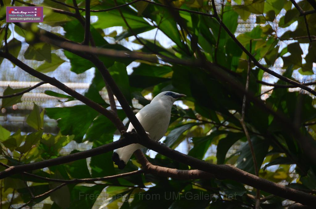 20150426jw-hk-park_DSC_0593.JPG