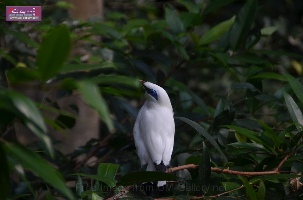 20150426jw-hk-park_DSC_0622.JPG