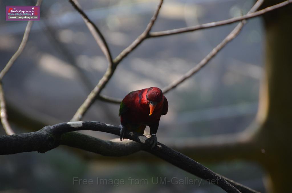 20150426jw-hk-park_DSC_0727.JPG