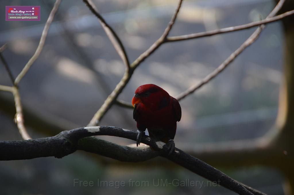 20150426jw-hk-park_DSC_0728.JPG