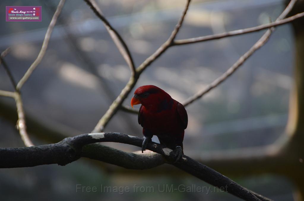 20150426jw-hk-park_DSC_0729.JPG
