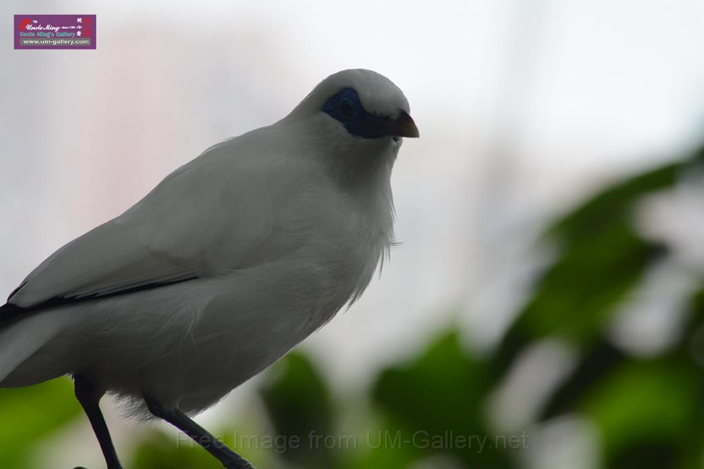 20150503sm_hk-park_DSC_2296.JPG