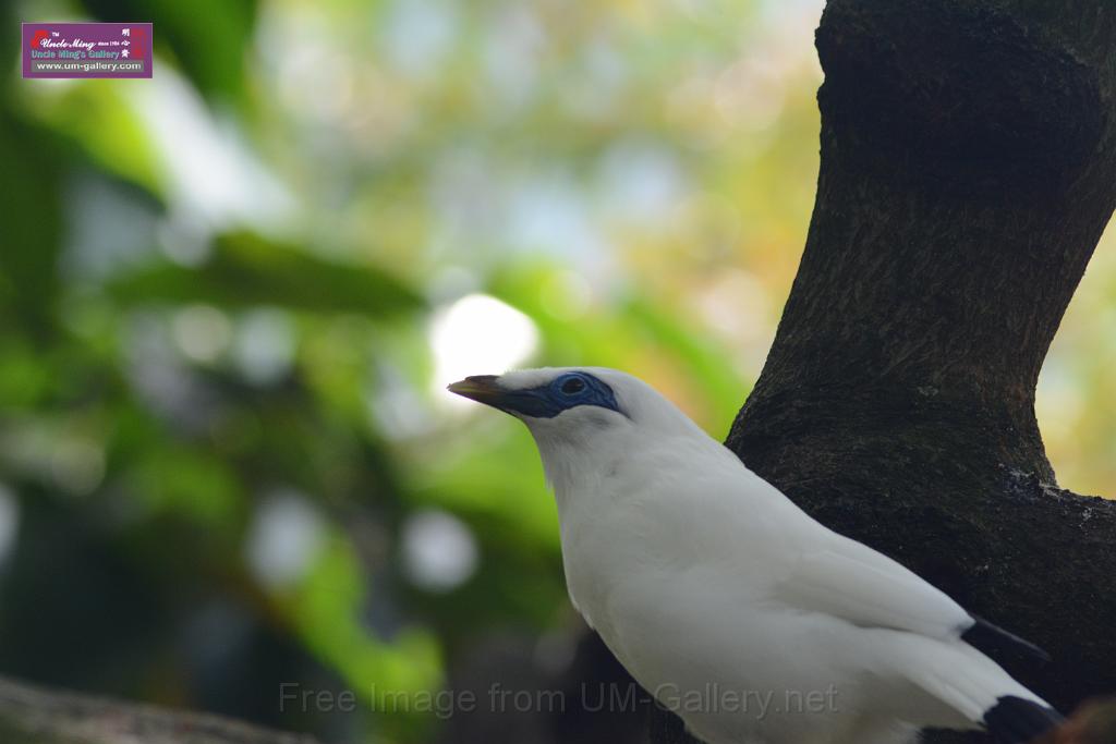 20150503sm_hk-park_DSC_2325.JPG