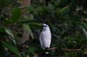 20150426jw-hk-park_DSC_0620