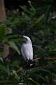 20150426jw-hk-park_DSC_0626