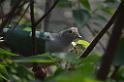 20150426jw-hk-park_DSC_0630