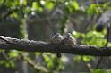 20150426jw-hk-park_DSC_0646