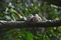 20150426jw-hk-park_DSC_0666