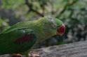 20150426jw-hk-park_DSC_0876