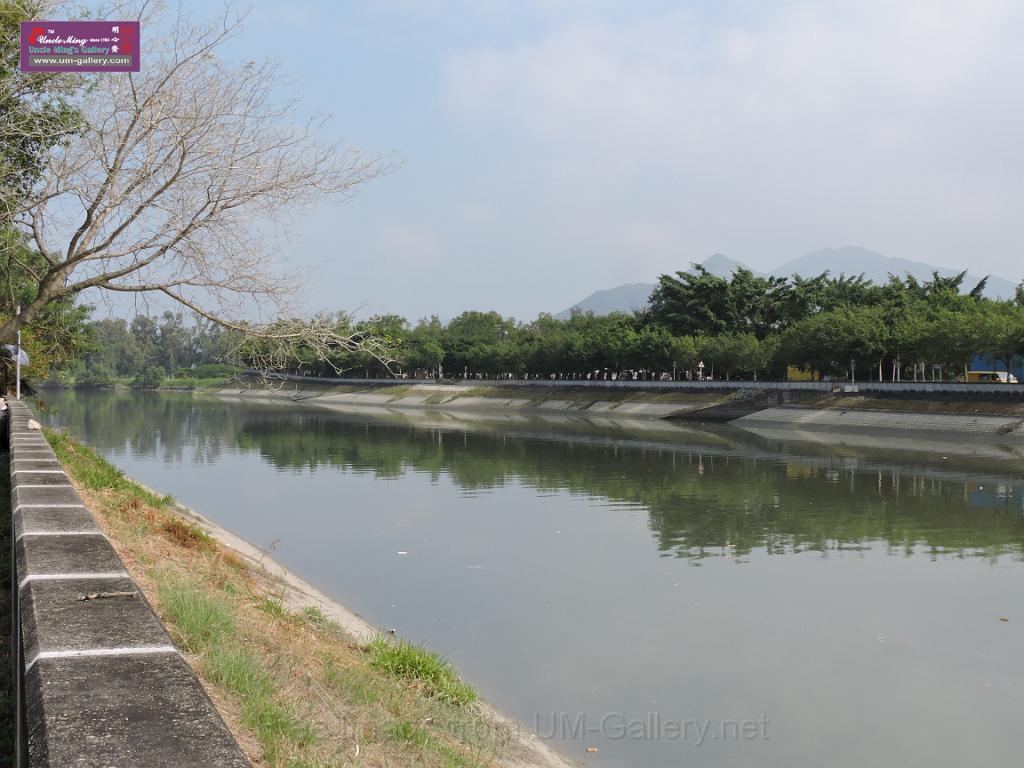 201612sf-bird-namsangwai-DSCN3497.JPG