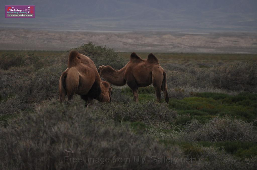 DSC_0288.JPG