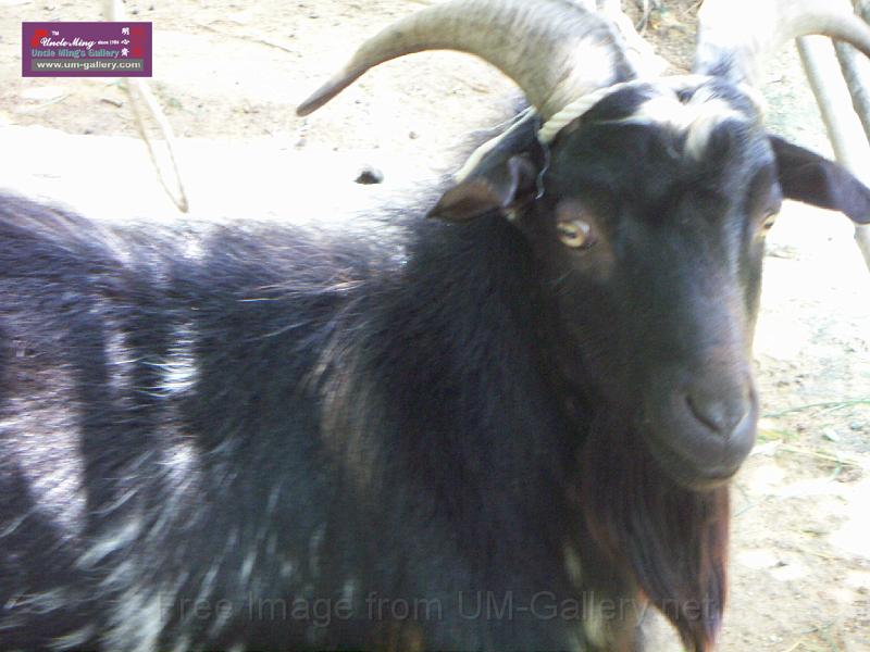 PICT1416.JPG