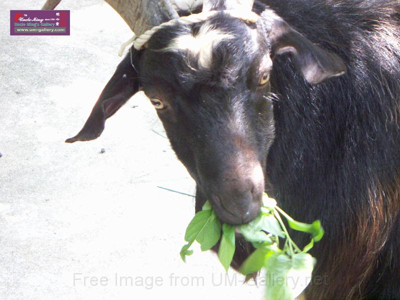 PICT1418.JPG