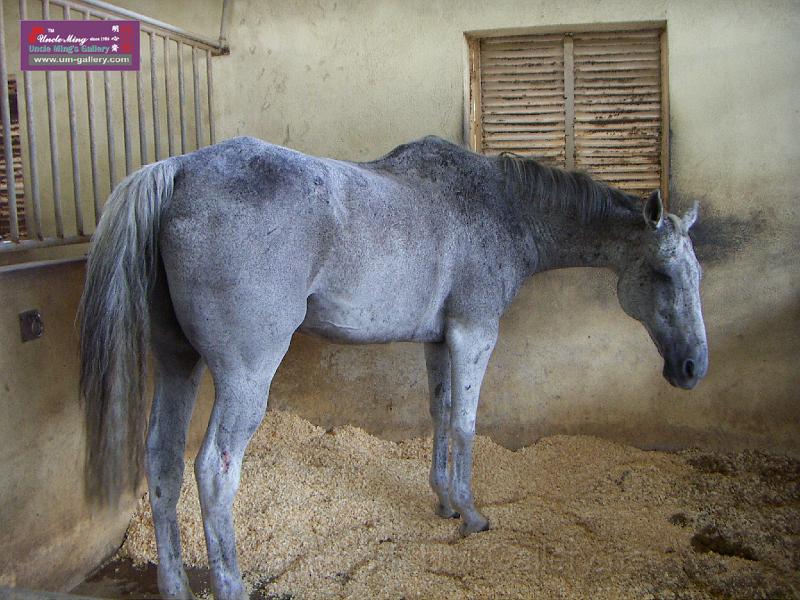 PICT1441.JPG