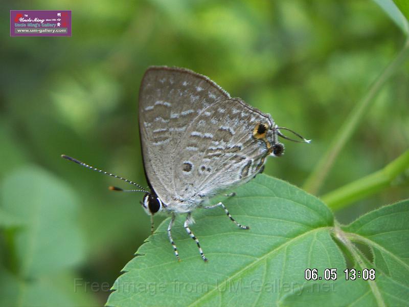 070506jw__PICT5147.JPG