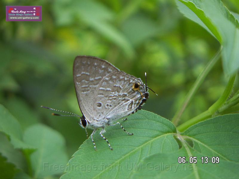 070506jw__PICT5150.JPG
