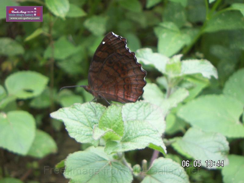 070506jw__PICT5197.JPG