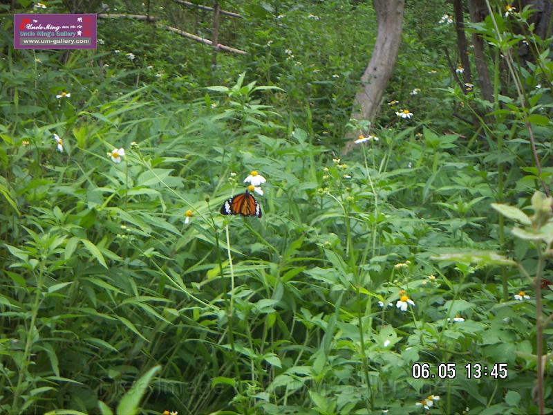 070506jw__PICT5198.JPG