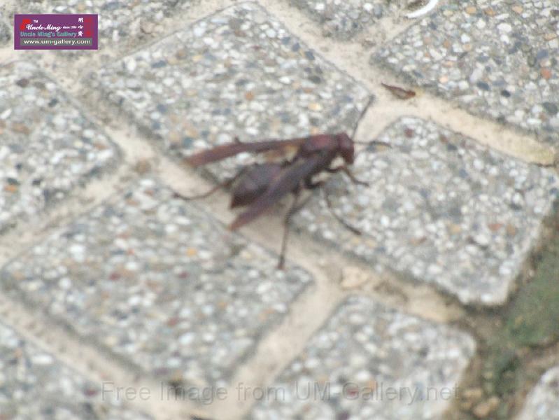 DSCF0183.JPG