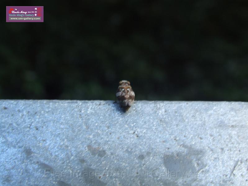 DSCF8413.JPG