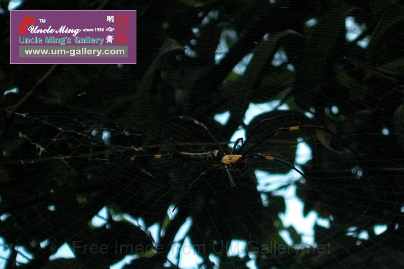 DSCN5836.JPG