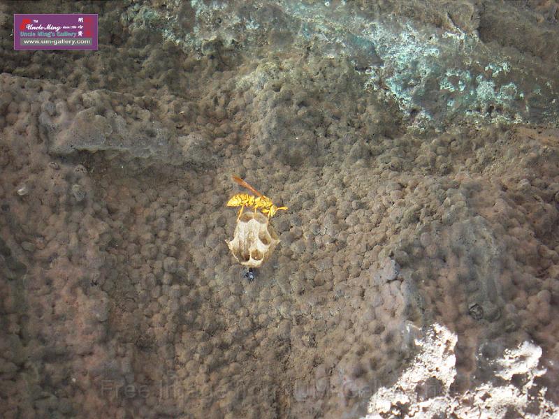 PICT1124.JPG