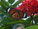 0611_DSCF0070