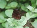070506b_DSCF0001_sm