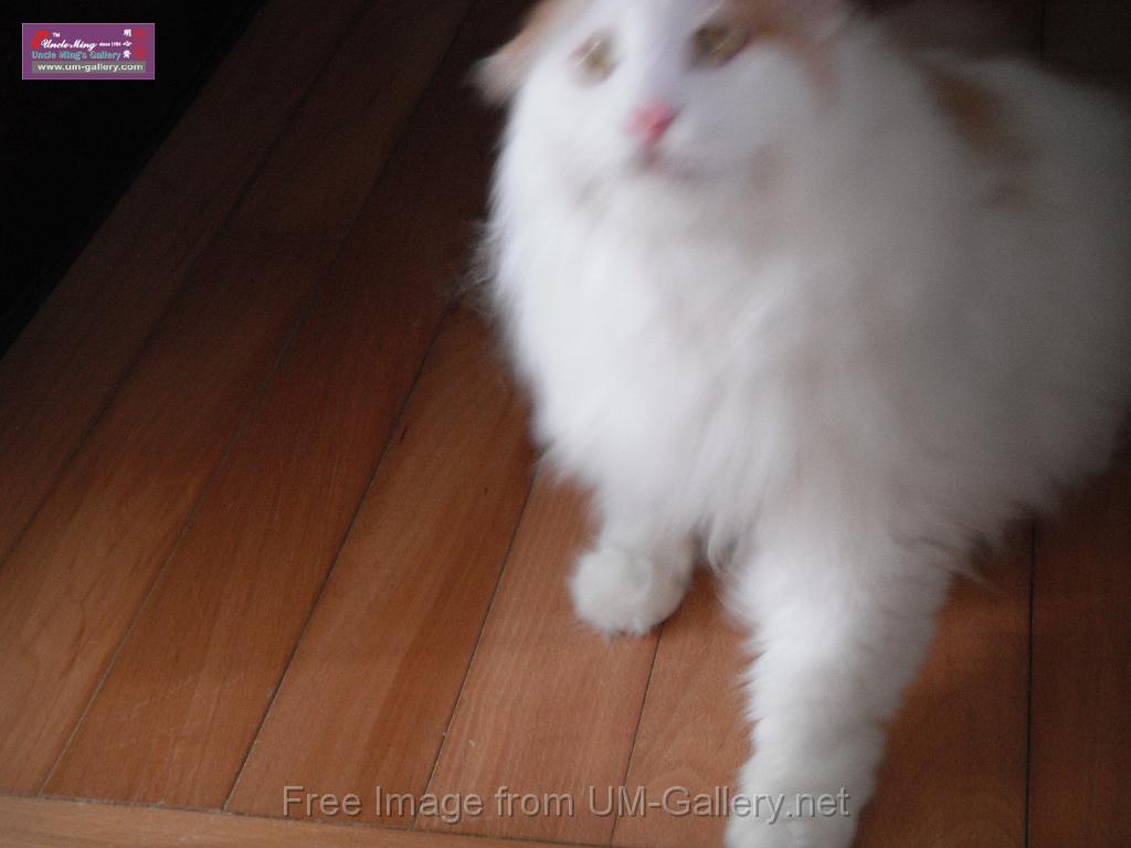 DSCF7799.JPG