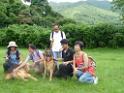 20130818jw_dog_training_P1140365