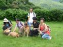 20130818jw_dog_training_P1140373