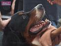 080601sm_DSCF3581