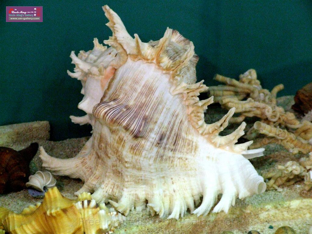DSCF0375.JPG