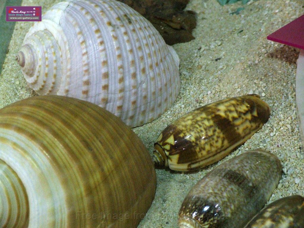 DSCF0380.JPG