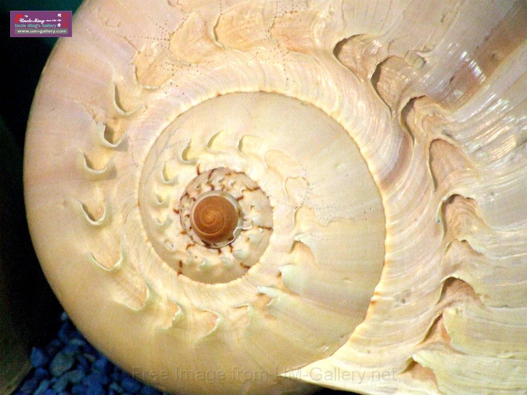 DSCF0394.JPG