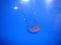 081215jw_o_park_p1160268